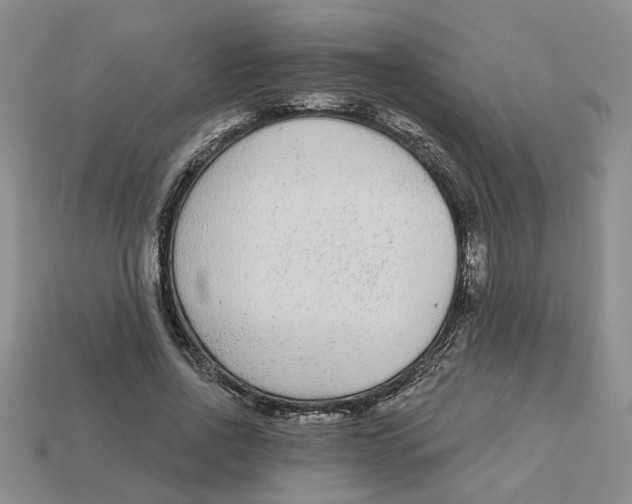 X0000113020734200909241634