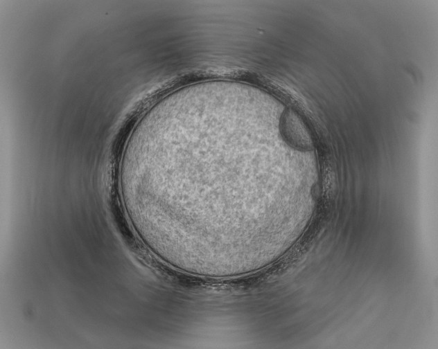 X0000113020736200909241634