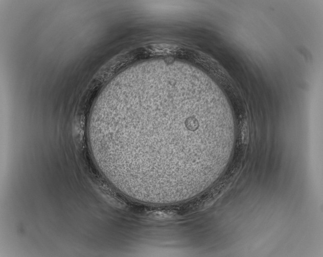 X0000113020737200909241634