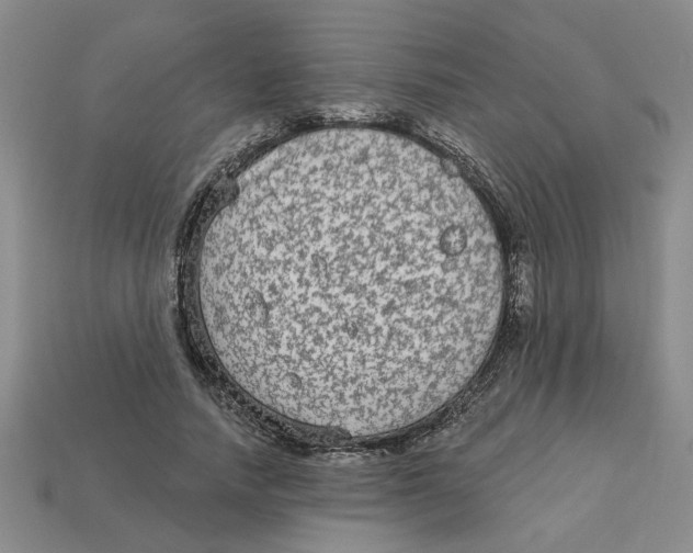 X0000113020738200909241634