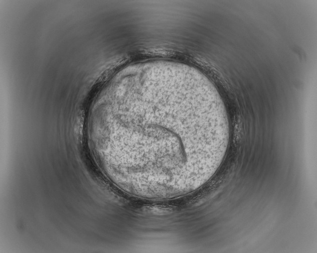 X0000113020739200909241634