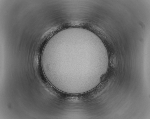 X0000113020740200909241634