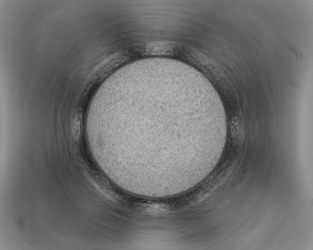 X0000113020741200909241634