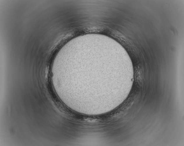 X0000113020742200909241634