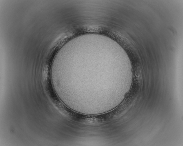 X0000113020744200909241634