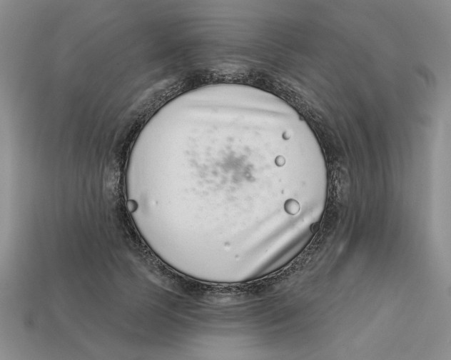 X0000113020745200909241634