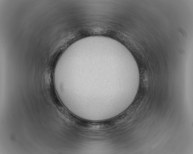 X0000113020746200909241634