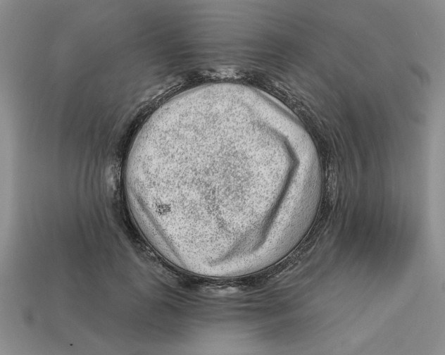 X0000113020747200909241634