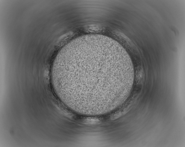 X0000113020749200909241634