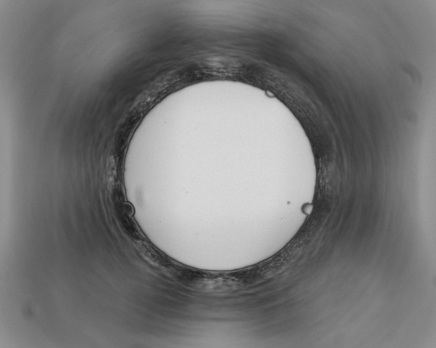 X0000113020752200909241634