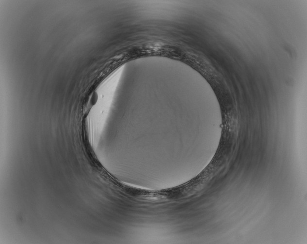 X0000113020754200909241634