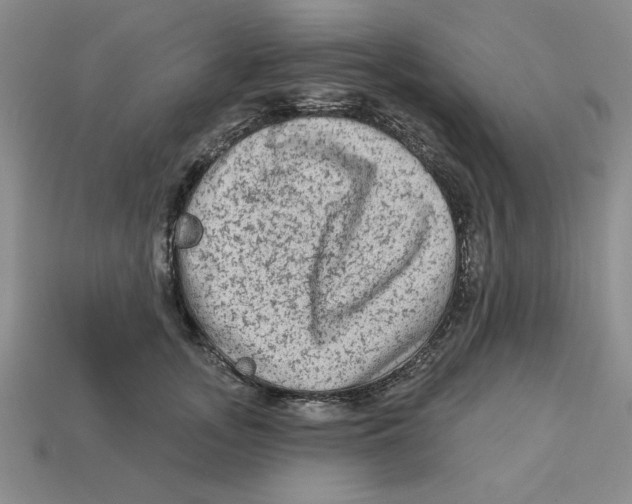 X0000113020755200909241634