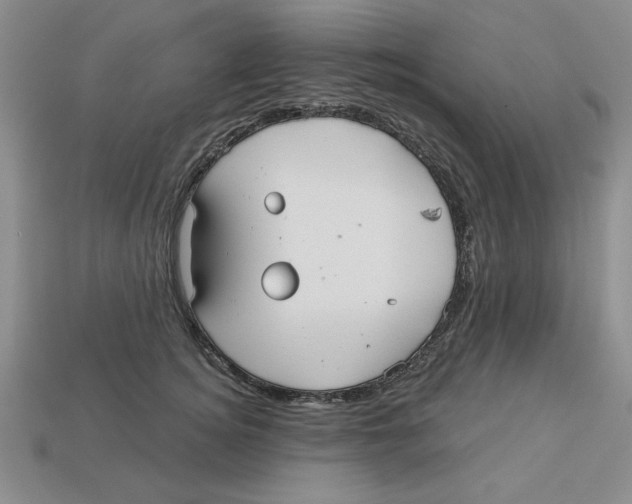 X0000113020756200909241634