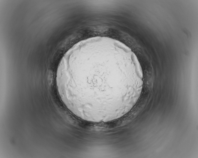 X0000113020758200909241634