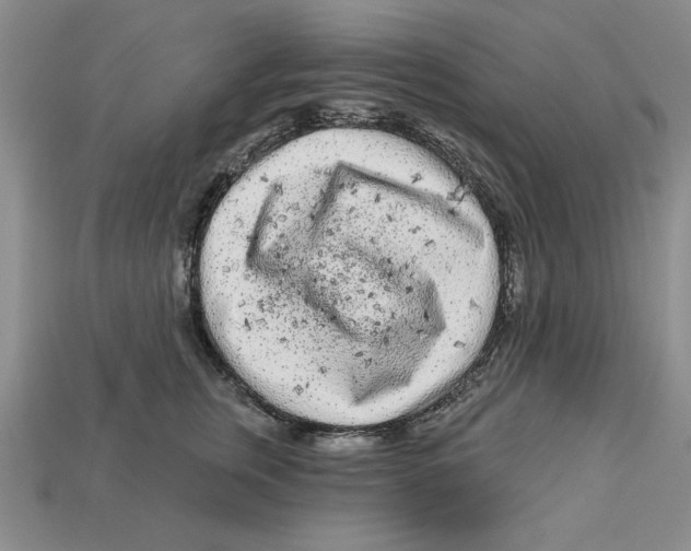 X0000113020759200909241635