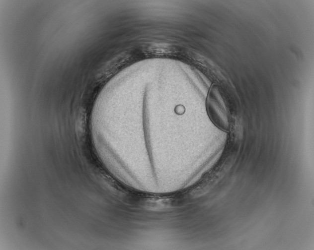 X0000113020760200909241635