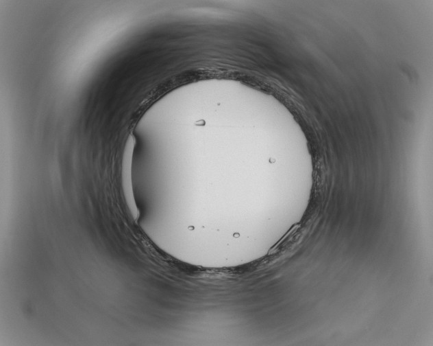 X0000113020762200909241635