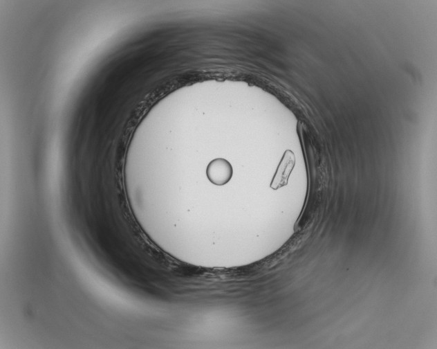 X0000113020764200909241635