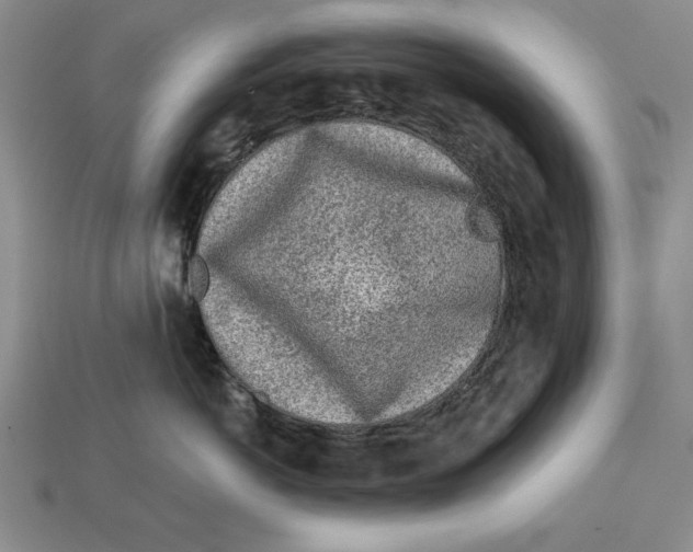 X0000113020766200909241635