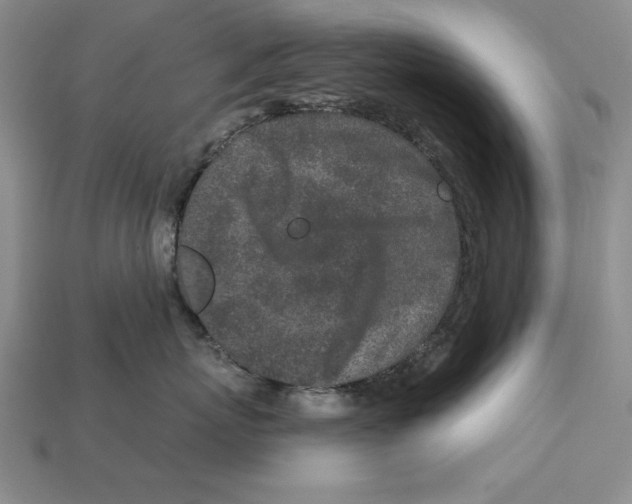 X0000113020767200909241635