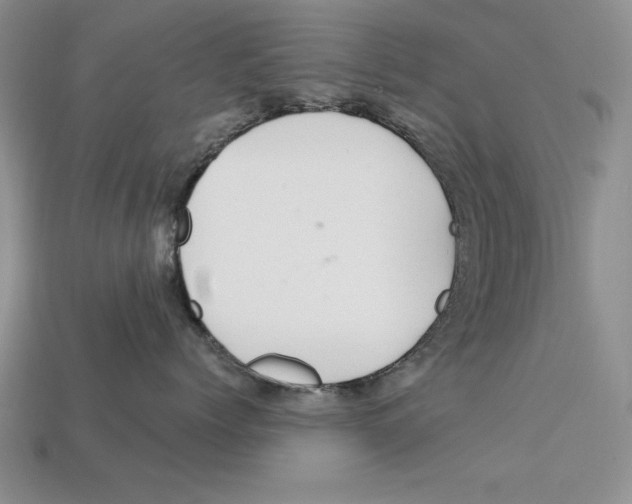 X0000113020768200909241635