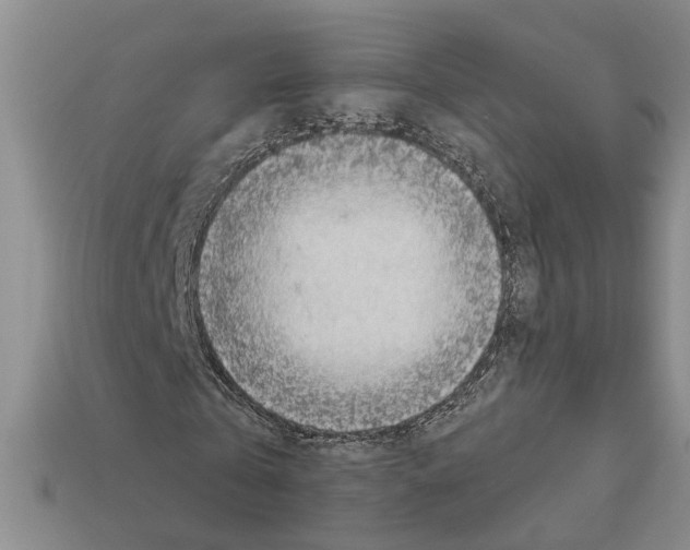 X0000113020769200909241634