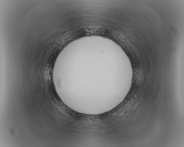 X0000113020770200909241634