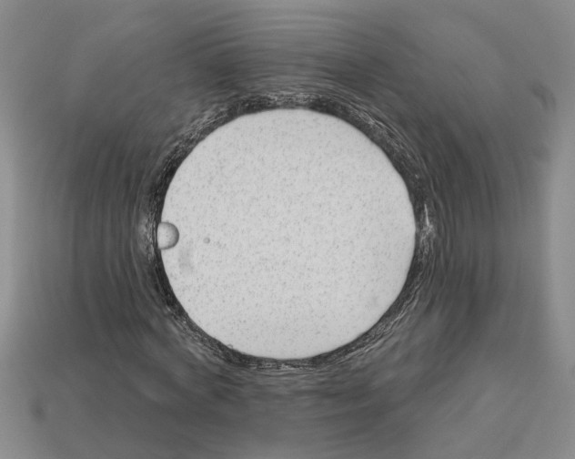 X0000113020772200909241634