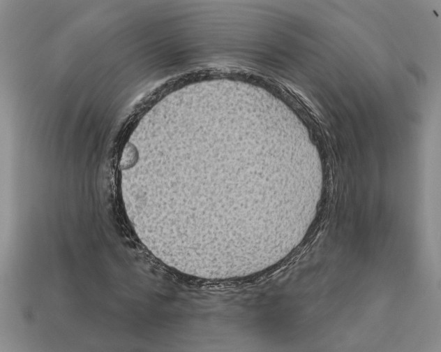 X0000113020776200909241634