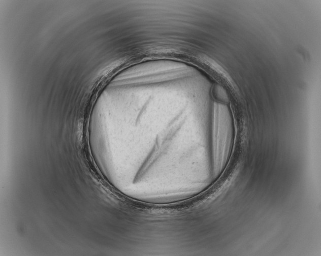 X0000113020777200909241634