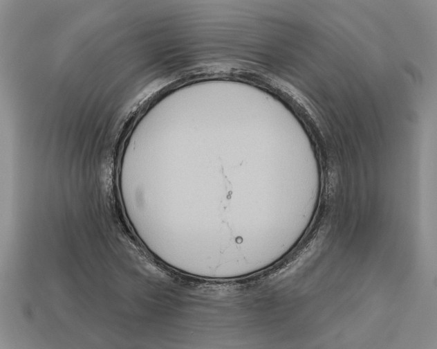 X0000113020778200909241634