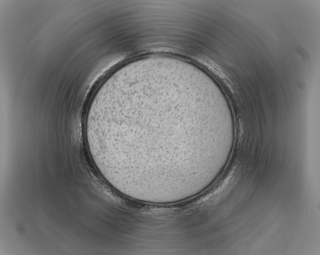 X0000113020782200909241634