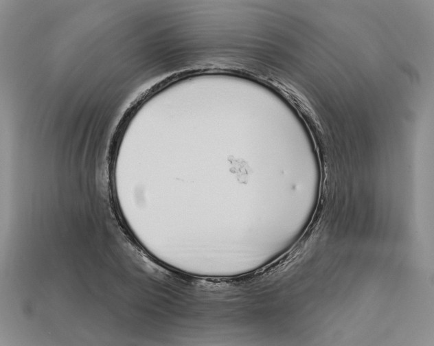 X0000113020784200909241634