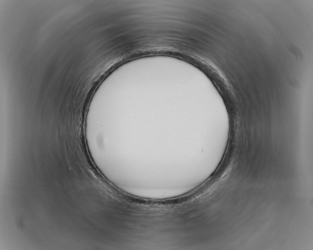 X0000113020785200909241634