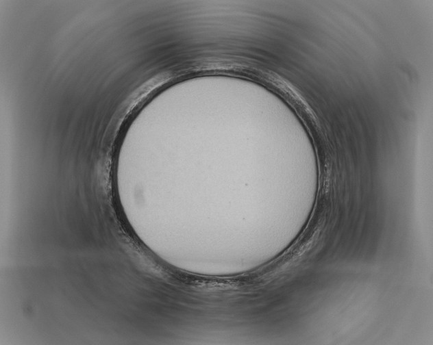 X0000113020786200909241634