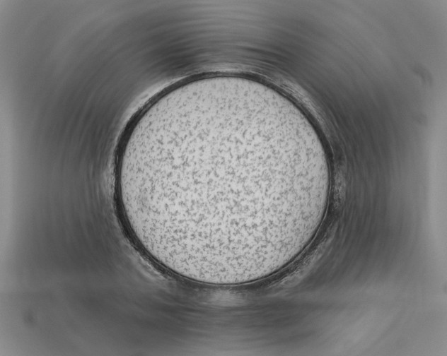 X0000113020787200909241634