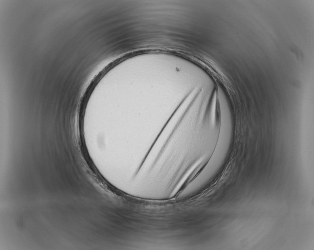 X0000113020788200909241634