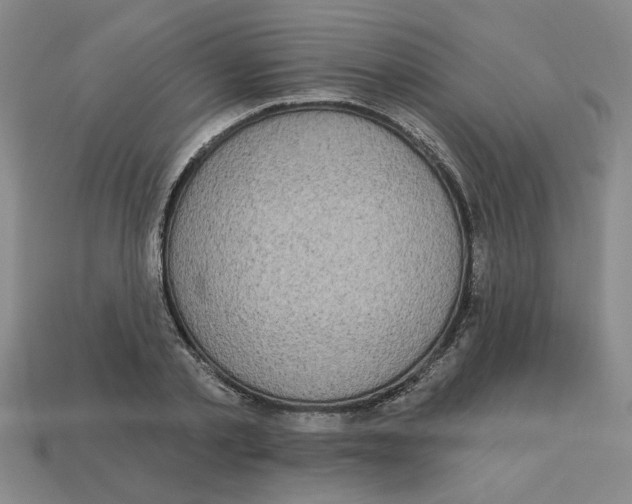 X0000113020789200909241634