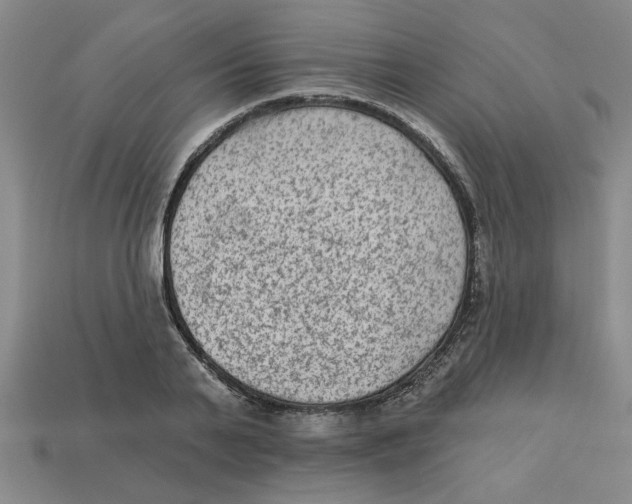 X0000113020791200909241634