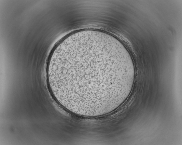 X0000113020792200909241634