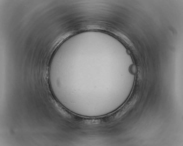 X0000113020793200909241634