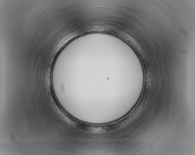 X0000113020794200909241634