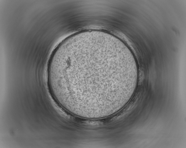 X0000113020795200909241634