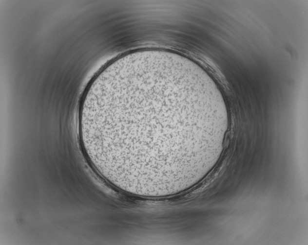 X0000113020796200909241634