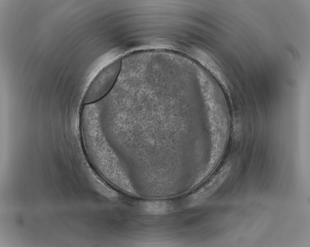 X0000113020797200909241634