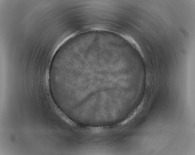 X0000113020798200909241633