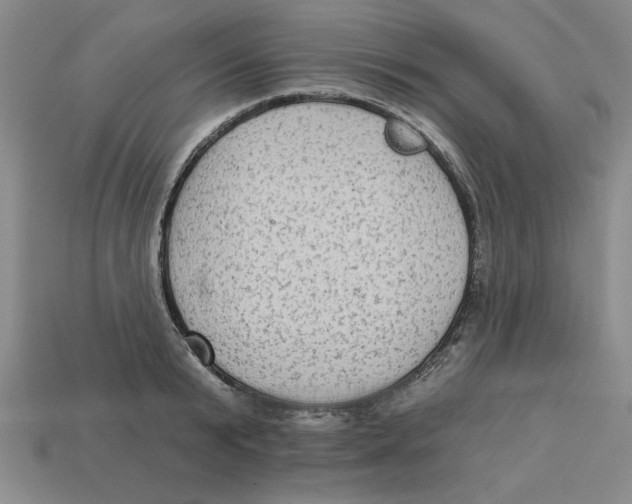 X0000113020799200909241633