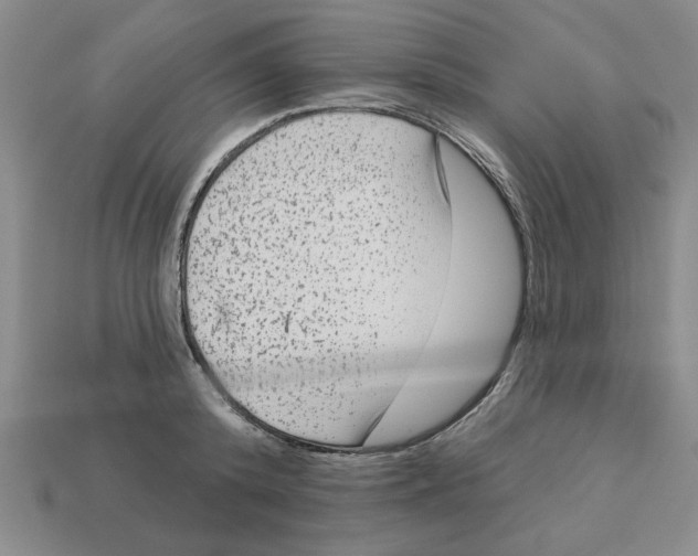 X0000113020800200909241633