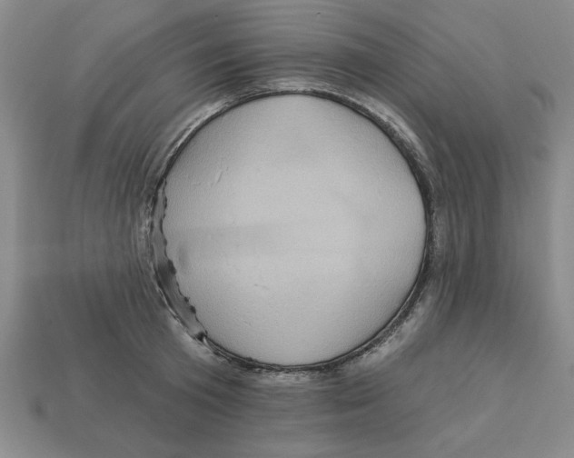 X0000113020801200909241633