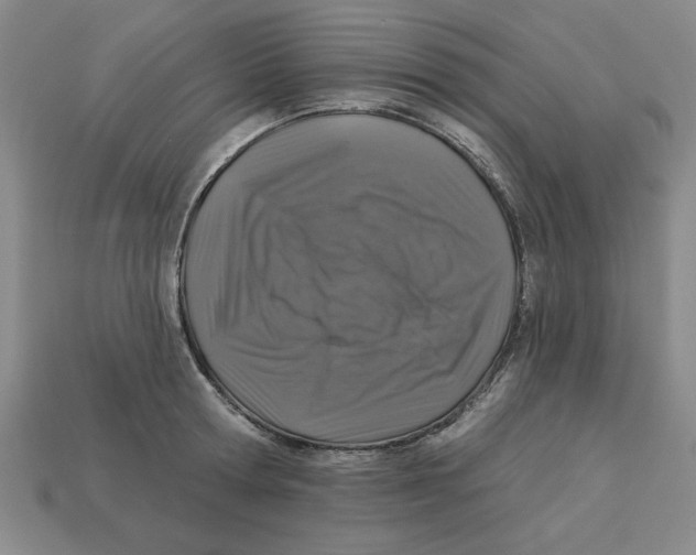 X0000113020802200909241633